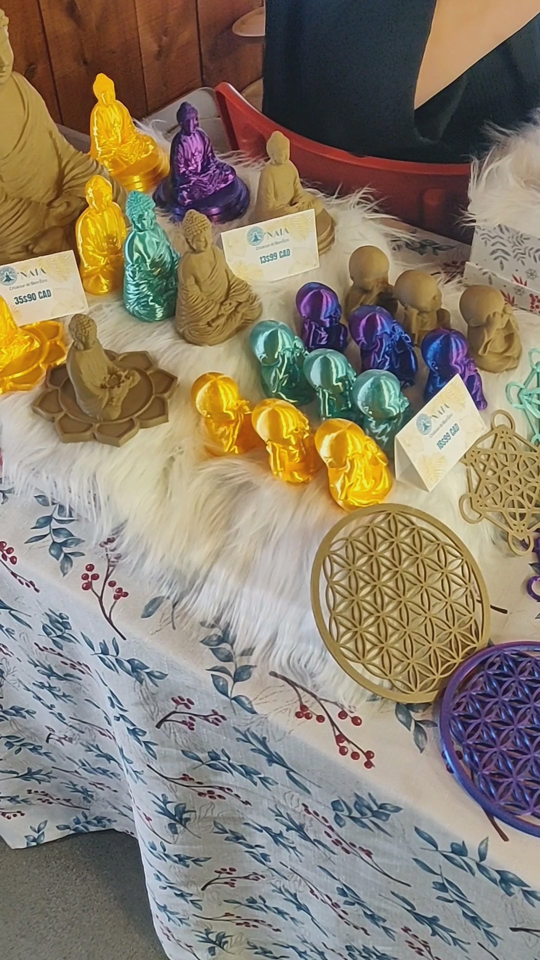 Charger la vidéo : 